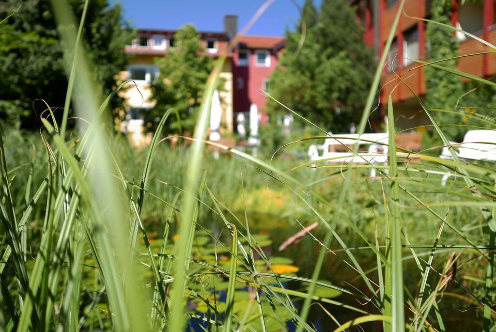 Wagners Hotel Schonblick, C&C Hotels Und Vertrieb Gmbh Fichtelberg Exteriér fotografie